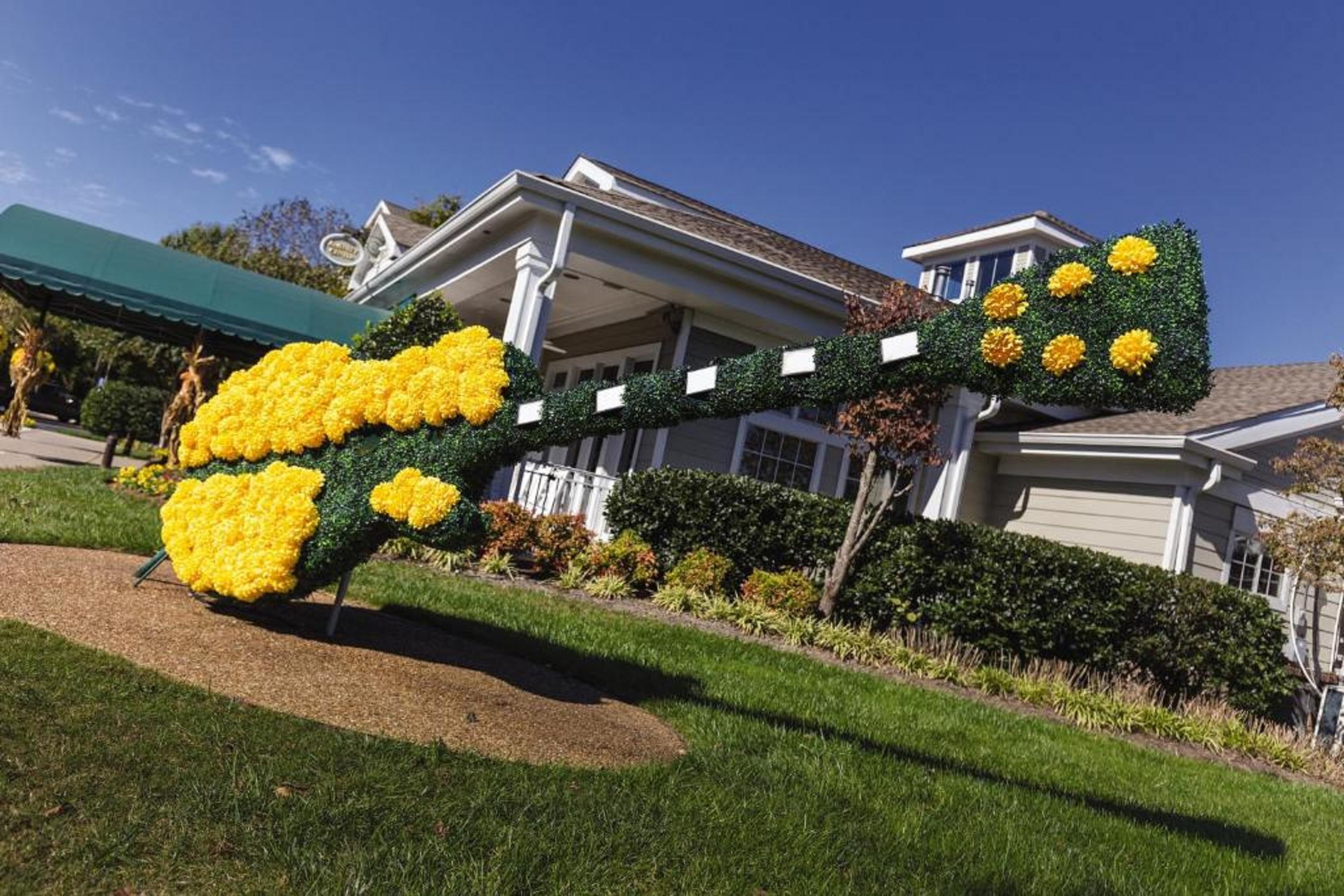 Club Wyndham Nashville Ngoại thất bức ảnh